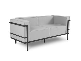 Dvivietė lauko sofa Calme Jardin Cannes, šviesiai pilka/tamsiai pilka kaina ir informacija | Lauko kėdės, foteliai, pufai | pigu.lt