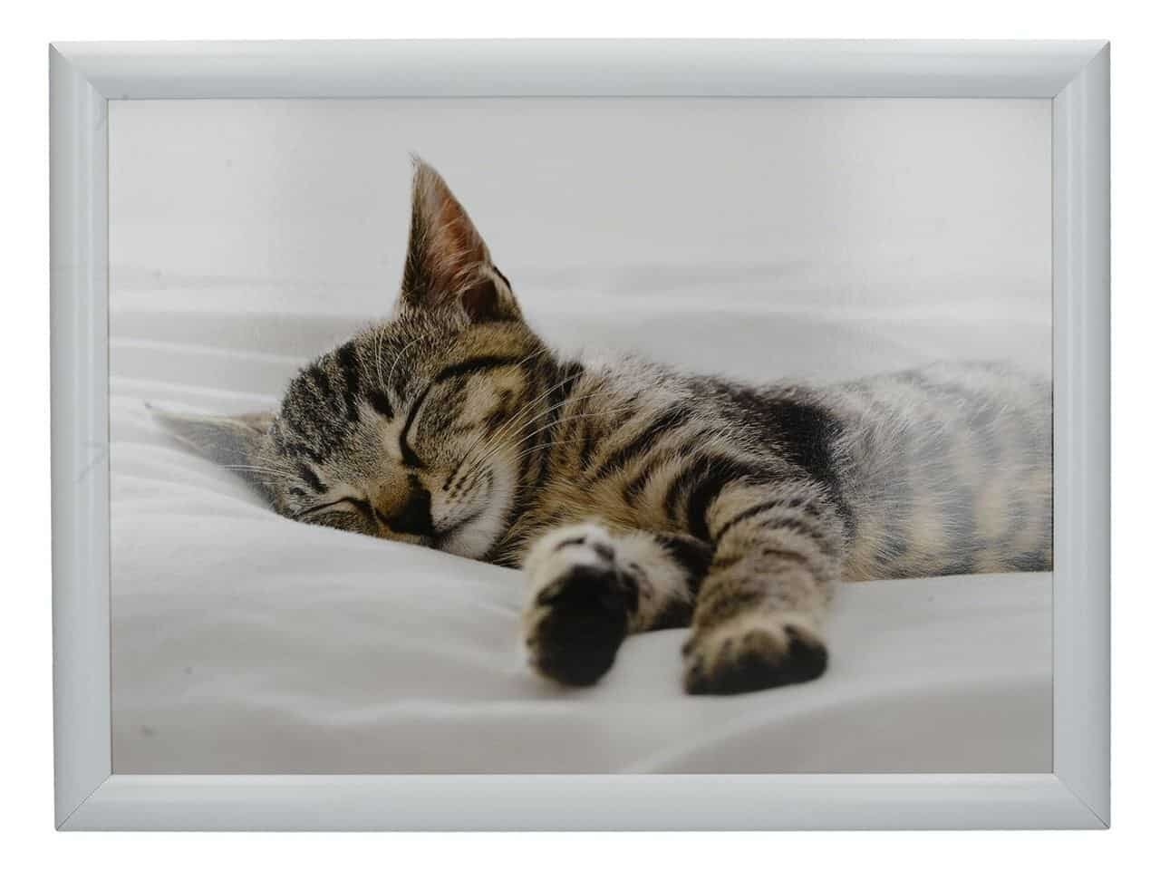 Kūrybiški viršeliai paketai - Miego Katinas цена и информация | Keptuvės | pigu.lt