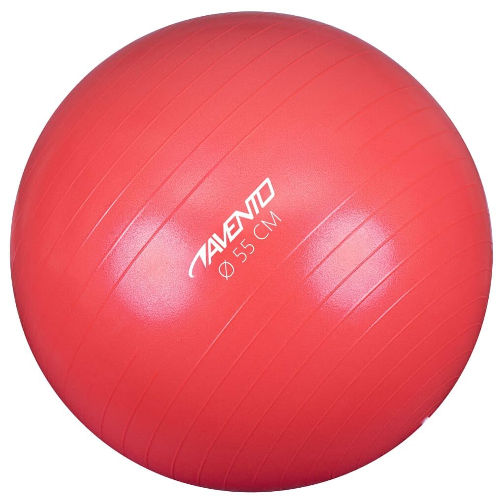 Gimnastikos kamuolys Avento, 55 cm, rožinis kaina ir informacija | Gimnastikos kamuoliai | pigu.lt