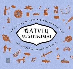 Gatvių susitikimai цена и информация | Книги для подростков  | pigu.lt