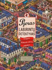 Labirintų detektyvas цена и информация | Книги для детей | pigu.lt