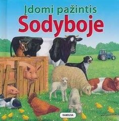 Įdomi pažintis. Sodyboje цена и информация | Книги для самых маленьких | pigu.lt