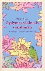 Gydymas vidiniais vaizdiniais цена и информация | Fantastinės, mistinės knygos | pigu.lt