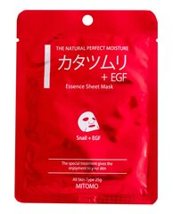 Тканевая маска для лица Mitomo Tencel Snail extract & EGF 25 г цена и информация | Маски для лица, патчи для глаз | pigu.lt
