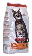 Hill's Feline Adult Chicken pašaras suaugusioms katėms, 10 kg kaina ir informacija | Sausas maistas katėms | pigu.lt