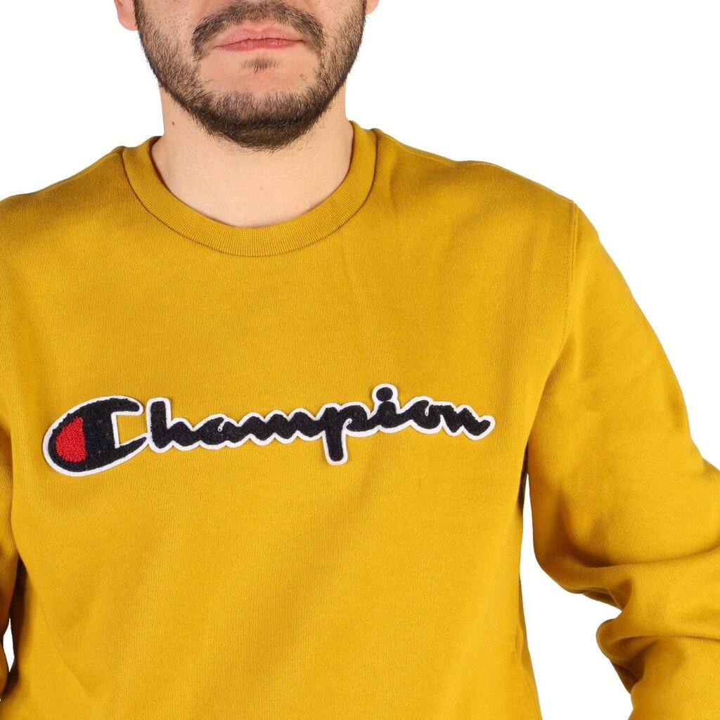 Vyriškas džemperis Champion цена и информация | Džemperiai vyrams | pigu.lt
