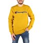 Vyriškas džemperis Champion kaina ir informacija | Džemperiai vyrams | pigu.lt