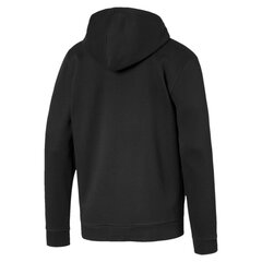 Блуза PUMA Amplified Hooded цена и информация | Мужские толстовки | pigu.lt