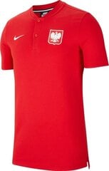 Nike мужская футболка, красная цена и информация | Мужские футболки | pigu.lt