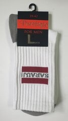 Vyriškos sportinės kojinės kaina ir informacija | Vyriškos kojinės | pigu.lt