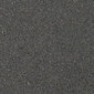 Dirbtinio granito virtuvinė plautuvė Aquasanita Clarus SR102, 202 Alumetallic цена и информация | Virtuvinės plautuvės | pigu.lt