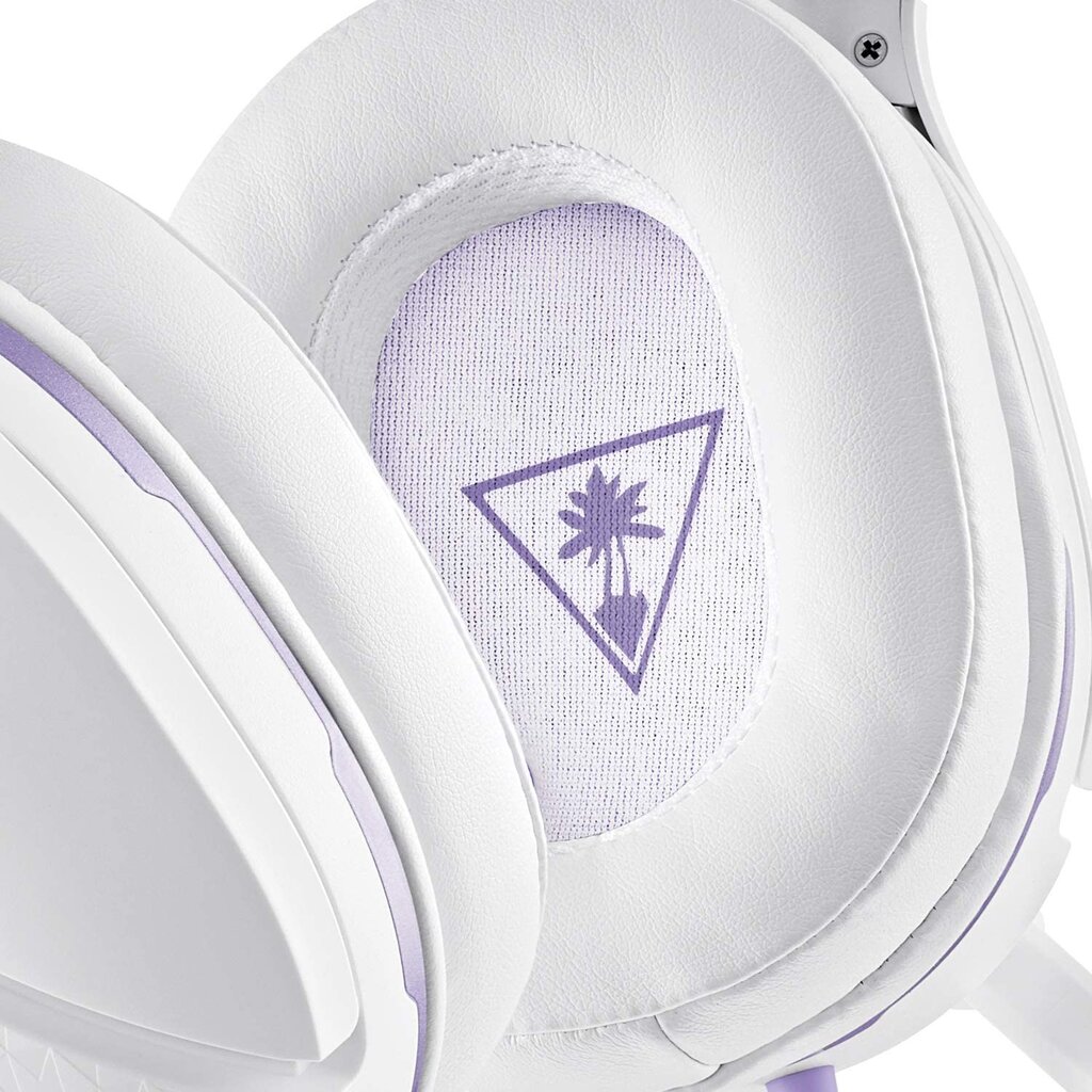 Turtle Beach Recon Spark kaina ir informacija | Ausinės | pigu.lt