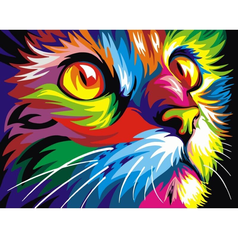 Piešimo rinkinys Spalvinga katė 30x40 цена и информация | Tapyba pagal skaičius | pigu.lt