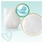 Sauskelnės PAMPERS Premium Monthly Pack 5 dydis 11-16 kg, 136 vnt. kaina ir informacija | Sauskelnės | pigu.lt