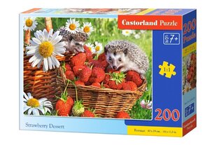 Dėlionė Castorland Strawberry Dessert, 200 d. kaina ir informacija | Dėlionės (puzzle) | pigu.lt