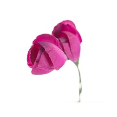 Искусственная веточка крокуса, 5 шт. цена и информация | Искусственные цветы | pigu.lt