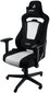 Žaidimų kėdė Nitro Concepts NC-E250-BW, juoda/balta kaina ir informacija | Biuro kėdės | pigu.lt