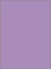 Цветной картон A2/160g, фиолетовый цена и информация | Тетради и бумажные товары | pigu.lt