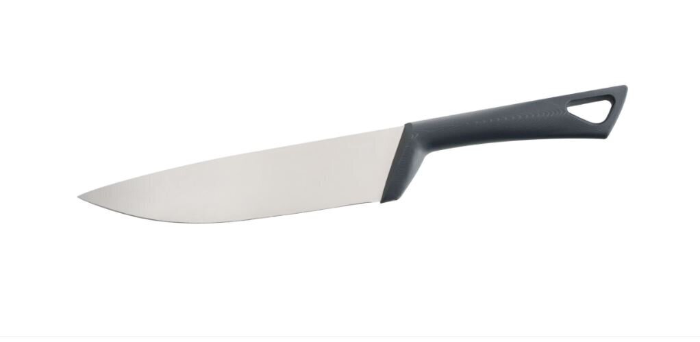 Fackelmann Nirosta peilis Style, 20 cm цена и информация | Peiliai ir jų priedai | pigu.lt