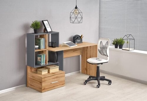 Письменный стол Halmar Grosso, коричневый/серый цена и информация | Компьютерные, письменные столы | pigu.lt