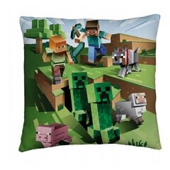 Vaikiškas dekoratyvinė pagalvėlė Minecraft, 40x40 cm kaina ir informacija | Dekoratyvinės pagalvėlės ir užvalkalai | pigu.lt