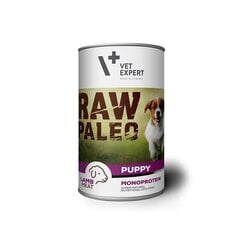 Raw Paleo konservai šuniukams su ėriena, begrūdis 400g kaina ir informacija | Konservai šunims | pigu.lt
