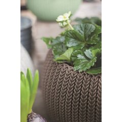 Горшок для цветов подвесной Cozy M With Hanging Set, коричневый цена и информация | Горшки | pigu.lt
