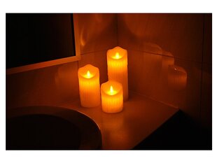 LTC Žvakės, Žvakidės