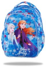 Рюкзак с подсветкой CoolPack Joy S LED Холодное сердце (Frozen II) B47306 цена и информация | Школьные рюкзаки, спортивные сумки | pigu.lt