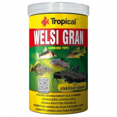 TROPICAL Welsi Gran - корм для аквариумных рыб - 1000 мл/650 г цена и информация | Корм для рыб | pigu.lt