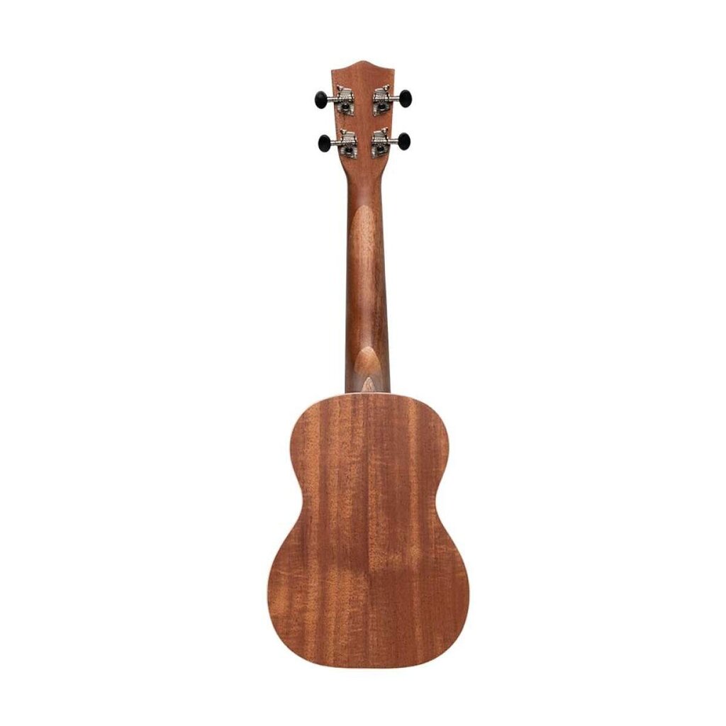 Koncertinė ukulelė Stagg UC-30 Spruce kaina ir informacija | Gitaros | pigu.lt