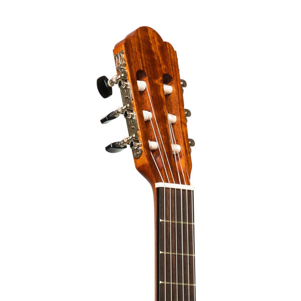 Elektro-akustinė klasikinė gitara Stagg SCL70 TCE-NAT цена и информация | Gitaros | pigu.lt