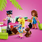 41429 LEGO® Friends Hartleiko miesto lėktuvas kaina ir informacija | Konstruktoriai ir kaladėlės | pigu.lt