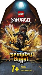 70685 LEGO® NINJAGO Spinjitzu Вспышка - Cole цена и информация | Конструкторы и кубики | pigu.lt