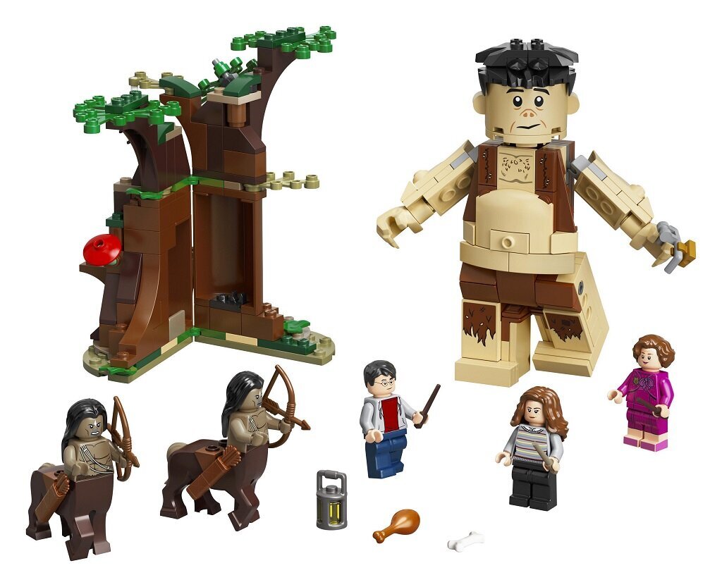 75967 LEGO® Harry Potter Ambridžo susidūrimas kaina ir informacija | Konstruktoriai ir kaladėlės | pigu.lt