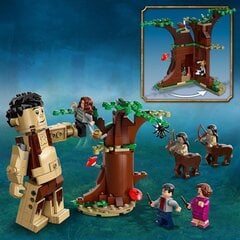 75967 LEGO® Гарри Поттер Запретный лес: Столкновение с Амбридж цена и информация | Конструкторы и кубики | pigu.lt