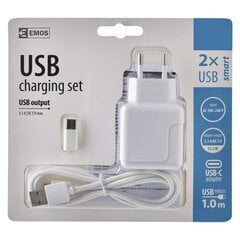 Зарядное устройство USB Smart 3.1A+Micro Usb Cab+Usb-C red цена и информация | Зарядные устройства для телефонов | pigu.lt