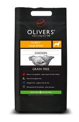 Olivers begrūdė šuniukų mityba su paukštiena Puppy Large Breed Start Grain Free M, 12kg цена и информация |  Сухой корм для собак | pigu.lt