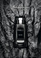 Tualetinis vanduo Baldessarini Black EDT vyrams 75 ml цена и информация | Kvepalai vyrams | pigu.lt