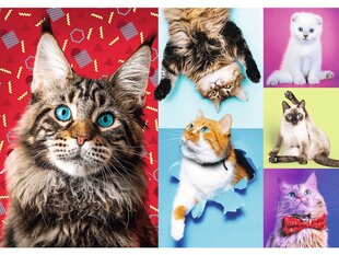 Dėlionė Trefl Happy Cats 1000 d. kaina ir informacija | Dėlionės (puzzle) | pigu.lt