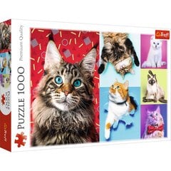 Dėlionė Trefl Happy Cats 1000 d. kaina ir informacija | Dėlionės (puzzle) | pigu.lt