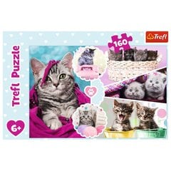 Dėlionė Trefl Cute Cats, 160 d. kaina ir informacija | Dėlionės (puzzle) | pigu.lt