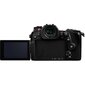 Panasonic Lumix G DC-G9 Body, black kaina ir informacija | Skaitmeniniai fotoaparatai | pigu.lt