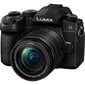 Panasonic Lumix G DC-G95M (90/91/99) + 12-60mm(H-FS12060), black kaina ir informacija | Skaitmeniniai fotoaparatai | pigu.lt