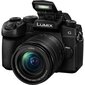 Panasonic Lumix G DC-G95M (90/91/99) + 12-60mm(H-FS12060), black kaina ir informacija | Skaitmeniniai fotoaparatai | pigu.lt