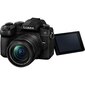 Panasonic Lumix G DC-G95M (90/91/99) + 12-60mm(H-FS12060), black kaina ir informacija | Skaitmeniniai fotoaparatai | pigu.lt