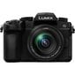 Panasonic Lumix G DC-G95M (90/91/99) + 12-60mm(H-FS12060), black kaina ir informacija | Skaitmeniniai fotoaparatai | pigu.lt