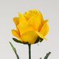Dirbtinė gėlė - rožė kaina ir informacija | Dirbtinės gėlės | pigu.lt