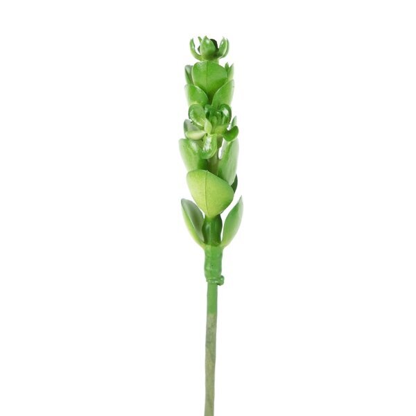 Dirbtinė gėlė - sukulentas, 3 vnt. kaina ir informacija | Dirbtinės gėlės | pigu.lt
