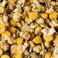 Horeca ramunėlių arbata, Camomille, 24 vnt цена и информация | Arbata | pigu.lt